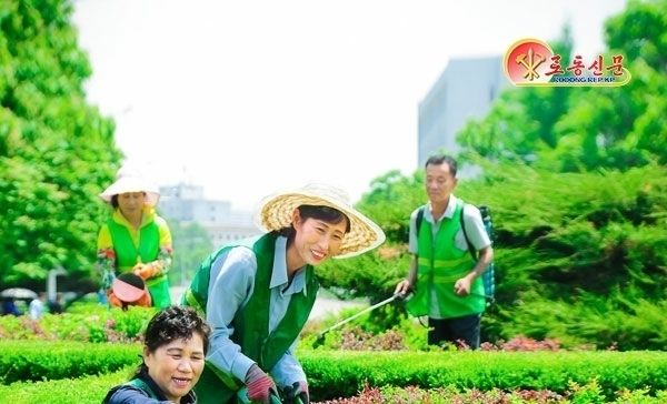 北 "수도 풍치 가꾸는 대동강구역원림사업소 종업원들"