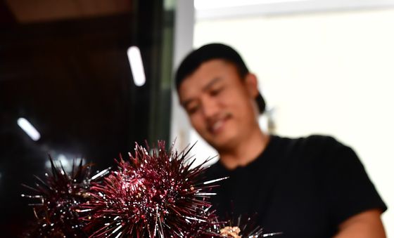 신선한 포항 성게가 한가득