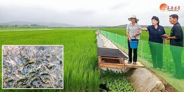北 "논판양어도 과학…과학의 힘에 철저히 의거"
