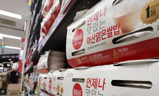 라면에 햇반까지…식품업계 줄줄이 가격 인상