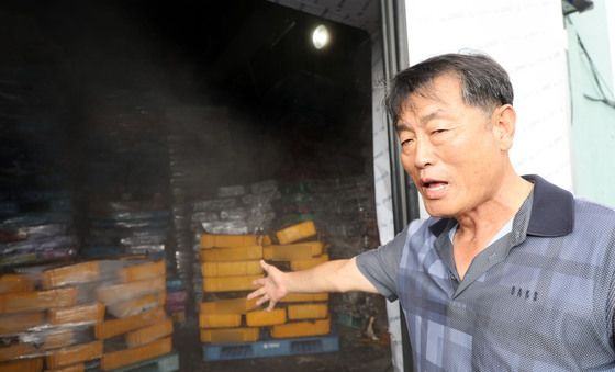 폐사한 넙치 가득한 냉동창고