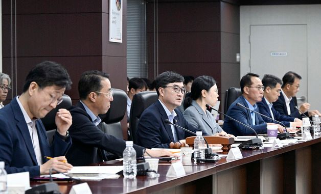 \'재정투자평가위원회\' 주재하는 임기근 기획처 차관