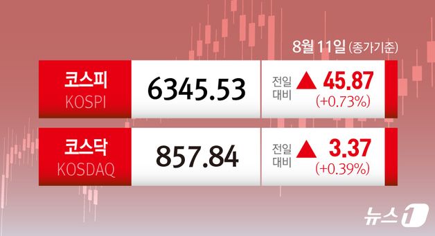 [오늘의 증시] 코스피 코스닥(8월 11일)