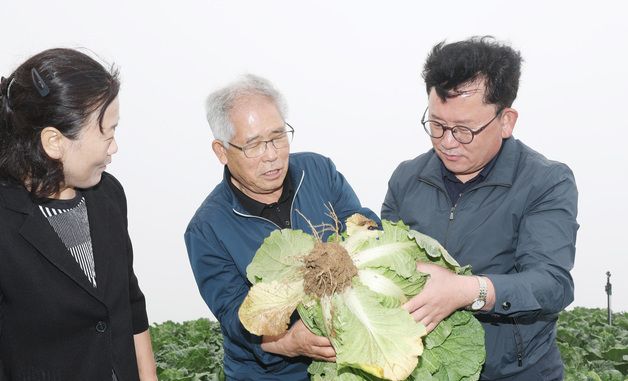 이승돈 농촌진흥청장, 강릉 고랭지배추 재배단지 방문
