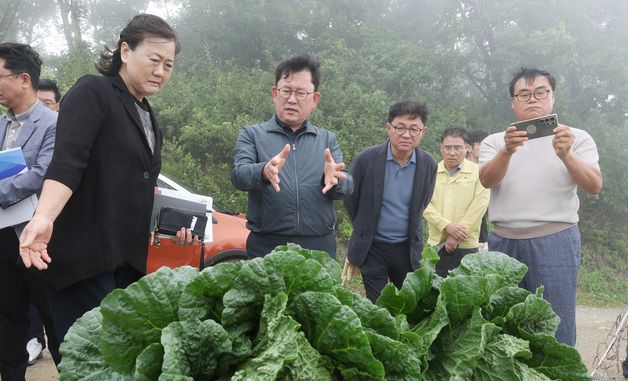 이승돈 농촌진흥청장, 강릉 고랭지배추 재배단지 방문