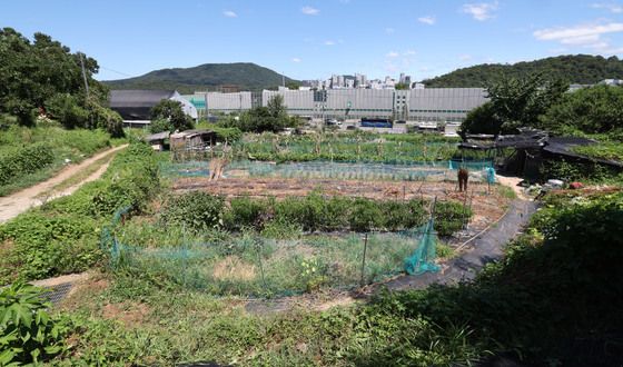 강남권 1만8000가구 공급…서리풀1지구 지구계획 승인 돌입