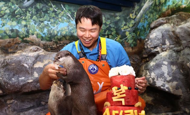 과일 특식 삼매경