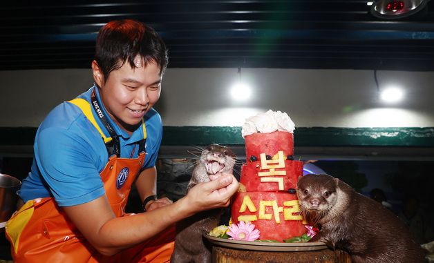 과일 특식 먹으며 더위 극복