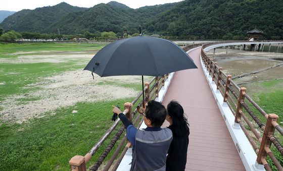 바싹 마른 송해공원 백세교 주변