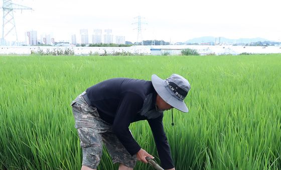 경남 폭우…경북 아직 가뭄