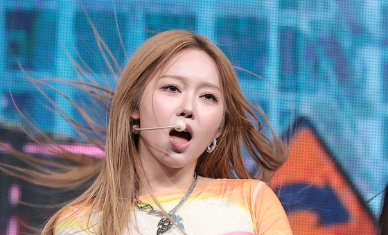 신혜원, 빠져드는 무대