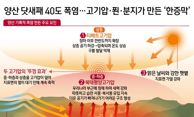 [오늘의 그래픽] 양산 닷새째 40도 폭염…고기압·푄·분지가 만든 '한증막'