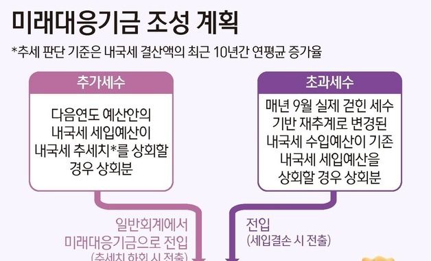 [그래픽] 미래대응기금 조성 계획