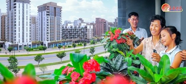 北, 수도 거리 가꾸는 평양 주민 가정 조명