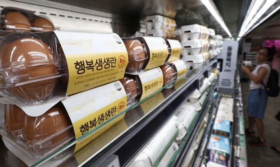 생산량 늘어도 계란값은 '고공행진'