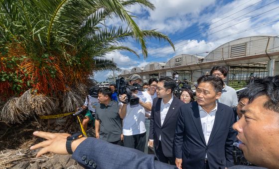 부경장 사건 피해자 발견 야자수숲 찾은 민주