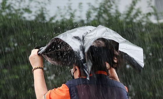 우산 대신 비닐