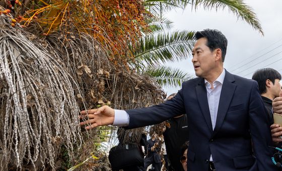 야자수 가지 만져보는 장동혁 대표