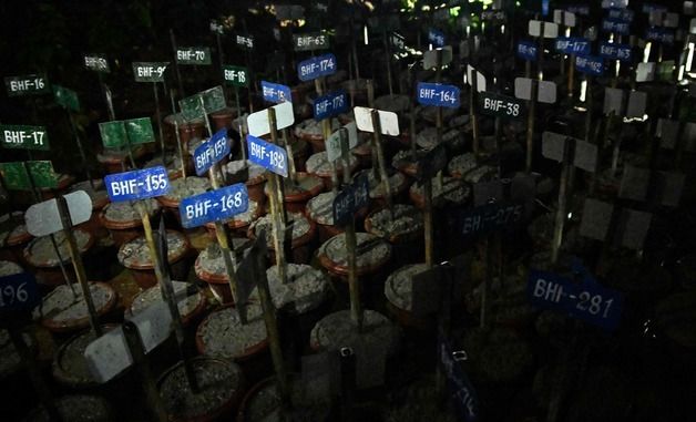 [포토]네팔 대홍수 신원 미확인 시신 매장