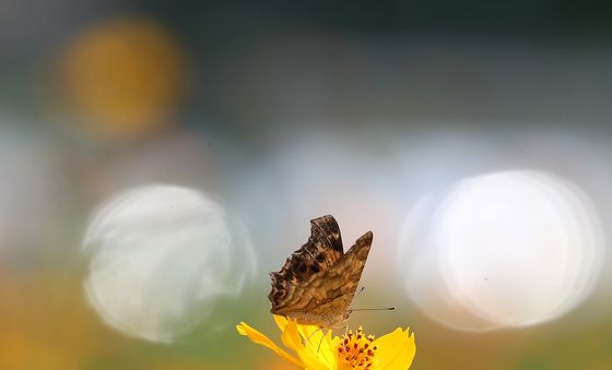 가을이 다가옵니다