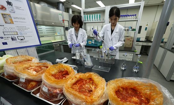 중국산 김치 안정성 검사하는 연구원들