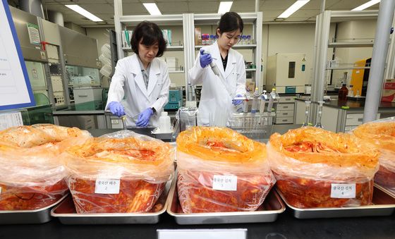 중국산 김치 안전성검사하는 연구원들