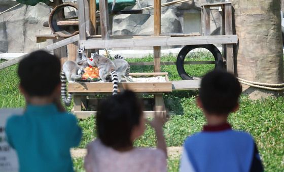 폭염 속 동물원 나들이