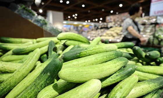 폭염에 채소가격도 '펄펄'