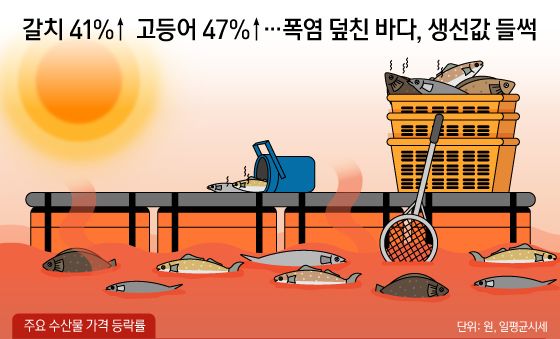 [오늘의 그래픽] 갈치 41%↑ 고등어 47%↑…폭염 덮친 바다, 생선값 들썩