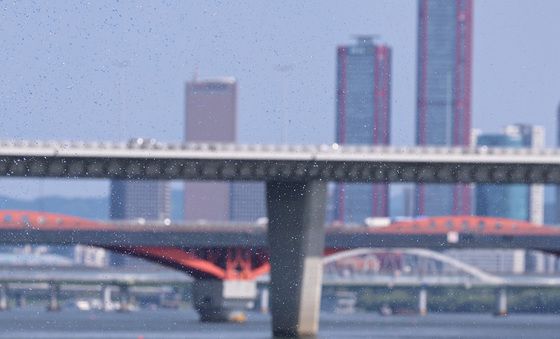 도시의 여름