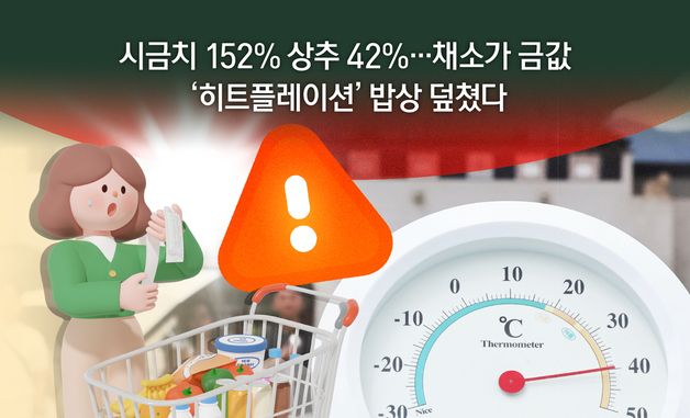 [오늘의 그래픽] 시금치 152%↑ 상추 42%↑, 채소가 금값…'히트플레이션' 밥상 덮쳤다
