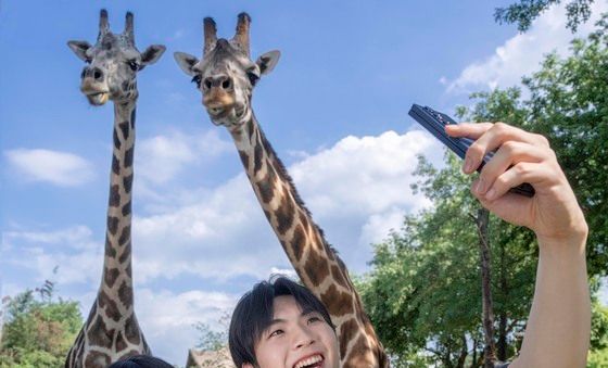 에버랜드, 오는 12일 '와일드 사바나 익스페디션' 오픈