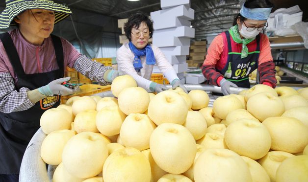 수확의 계절