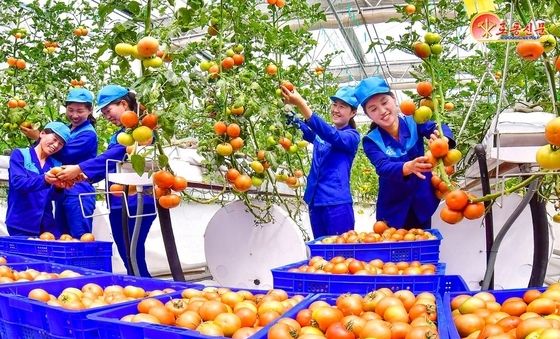 北 "위대한 헌신의 결실"…체제 선전