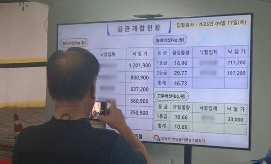 '올해 양양송이 얼마?'…첫 공판 결과 담는 시민들