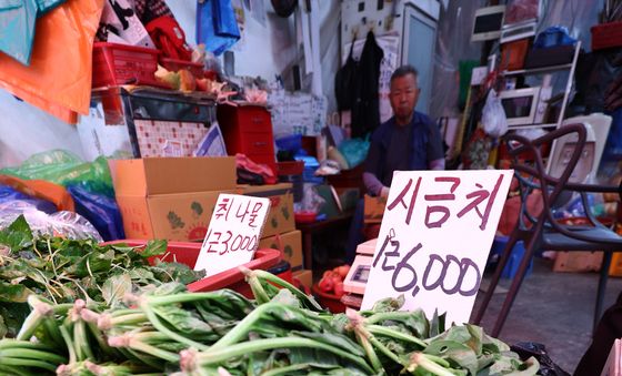 시금치, 한 달 새 52% 급등