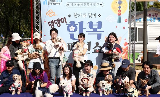 마포구, 댕댕이 한복 패션쇼 개최