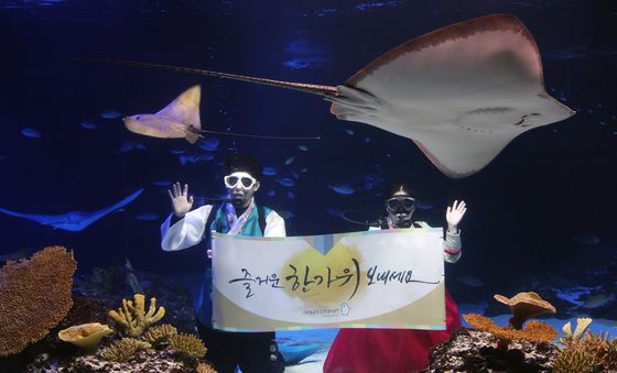 물고기와 함께 전하는 추석 인사