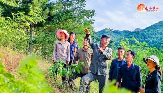 숲 관리 나선 北 상원군 식달농장 근로자들