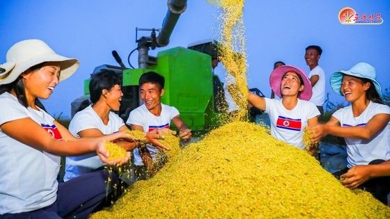 北 "나라의 쌀독 책임 다해야"…열두삼천리벌 풍작 선전