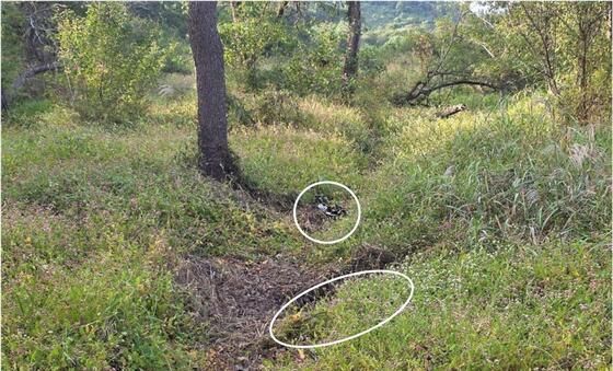 합참이 공개한 DMZ 지뢰 폭발 화구 사진