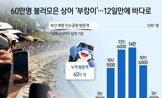 [오늘의 그래픽] 60만명 불러모은 상어 '부캉이'…12일만에 바다로