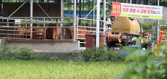 '어쩌나' 명절 앞두고 구제역