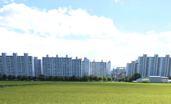파란 하늘과 황금빛 논