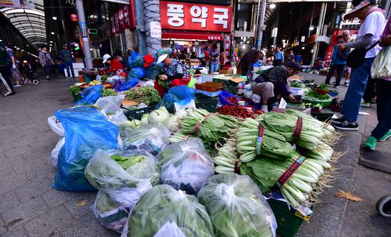 싱싱한 야채가 한가득