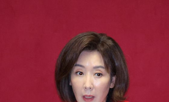 대정부질문 하는 나경원 의원