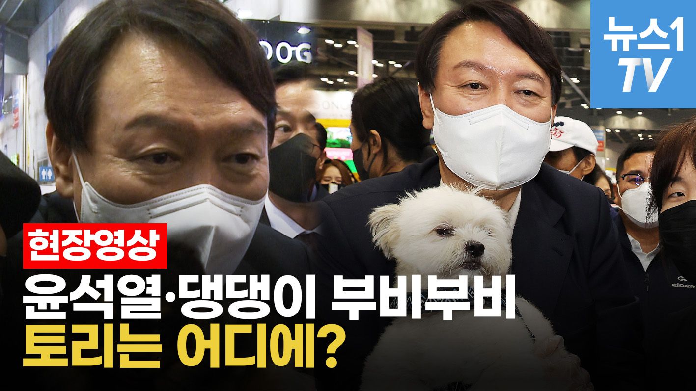 연관비디오 - 윤석열, '펫 페어'서 식용 개 논란 정면돌파…토리는 어디에?