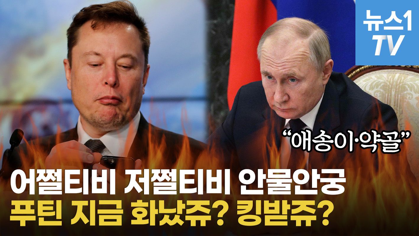 연관비디오 - 푸틴아! 맞짱 뜨자! from. 일론 머스크…러시아 "애송이에 약골"