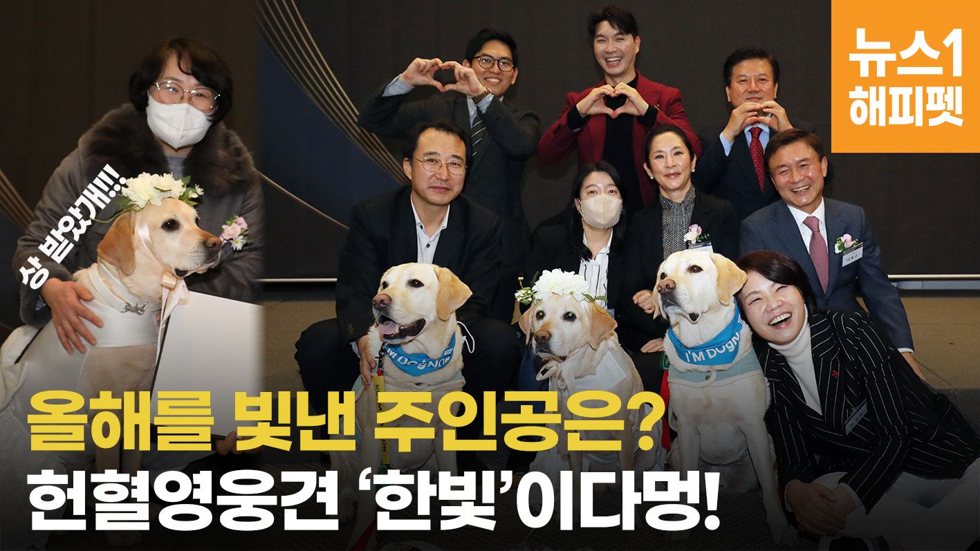 연관비디오 - 죽어가는 친구들을 살리는 천사, 올해의 반려견은 '한빛'