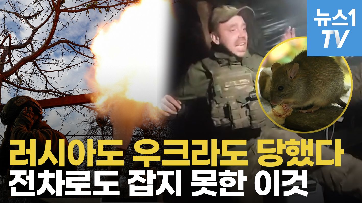 연관비디오 - 자나 깨나 어디에나 "찍찍찍"…포탄은 피할 수 있어도 쥐의 습격은 속수무책